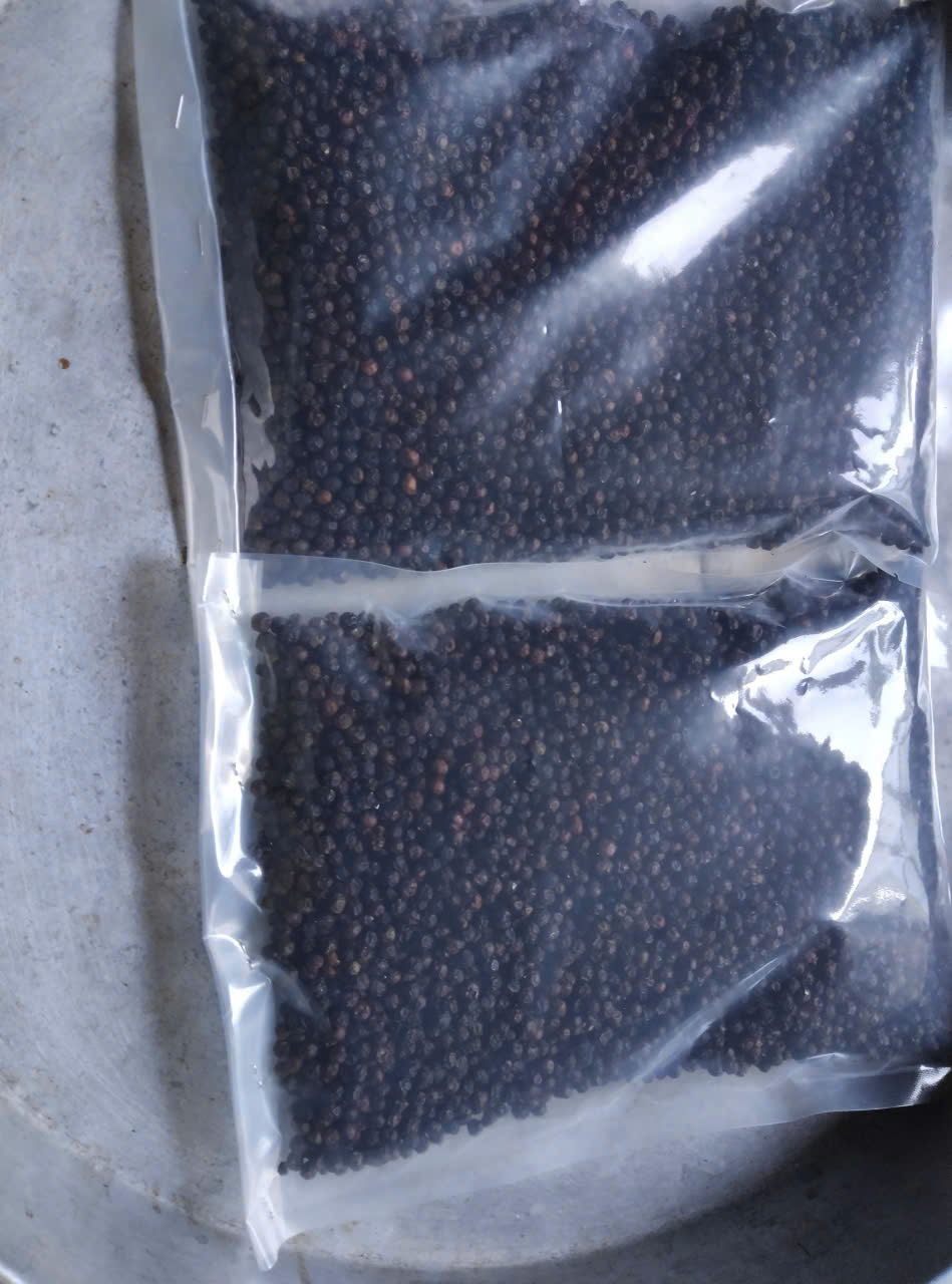 Phu Quoc pepper packed at Mai Nhan Farm